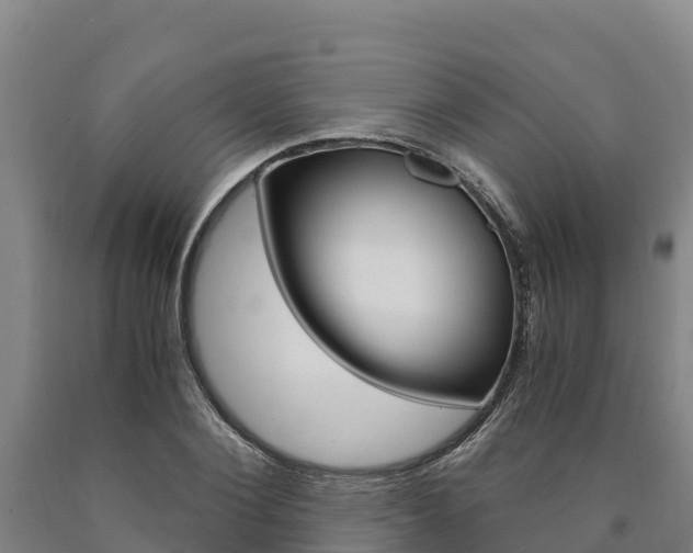 X0000090920884200707301051