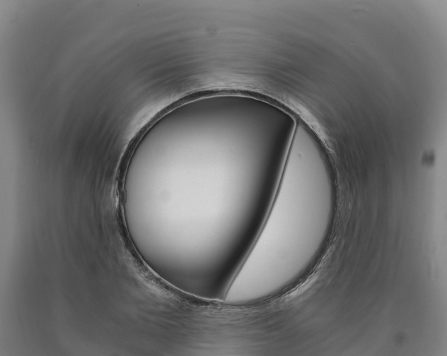 X0000090920885200707301051