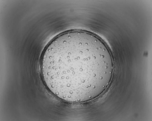 X0000090920887200707301051