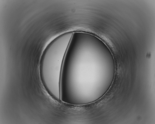 X0000090920888200707301051