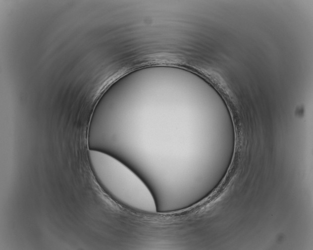 X0000090920889200707301051