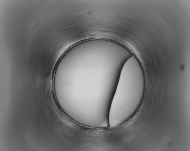 X0000090920891200707301051