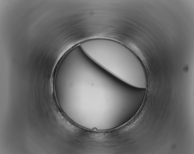 X0000090920892200707301051