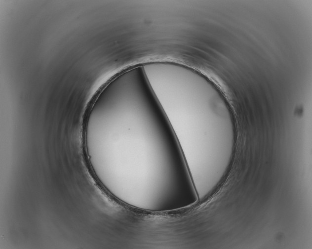 X0000090920894200707301051