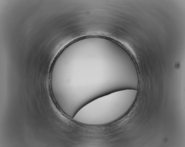 X0000090920895200707301051