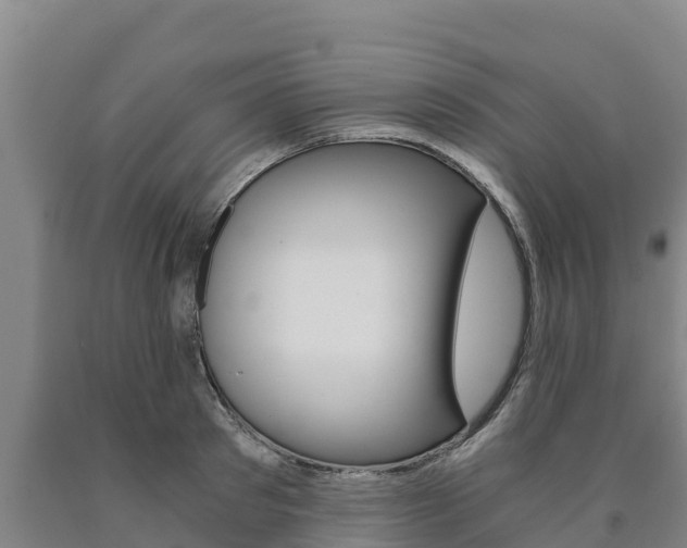 X0000090920897200707301051