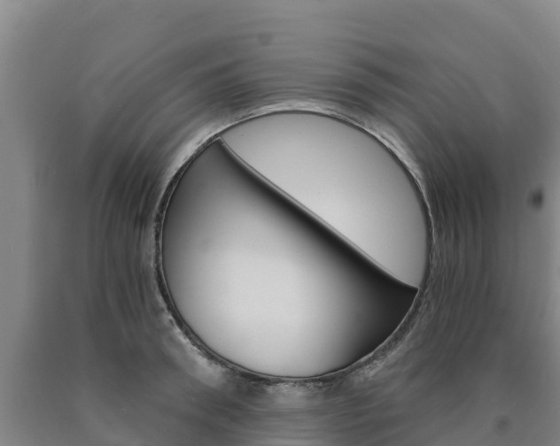 X0000090920898200707301051