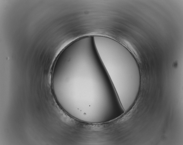 X0000090920900200707301051