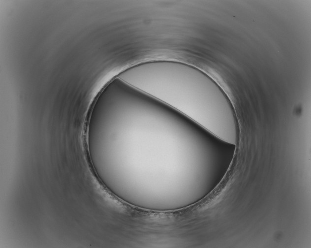 X0000090920901200707301051