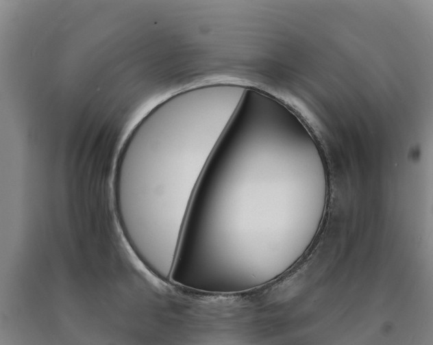 X0000090920902200707301051