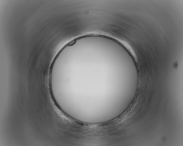 X0000090920903200707301051