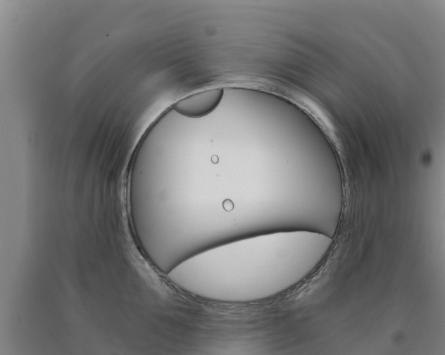 X0000090920907200707301051