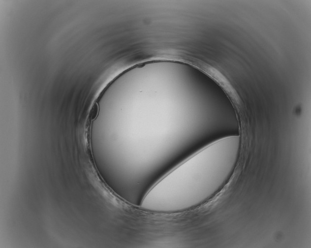 X0000090920908200707301051