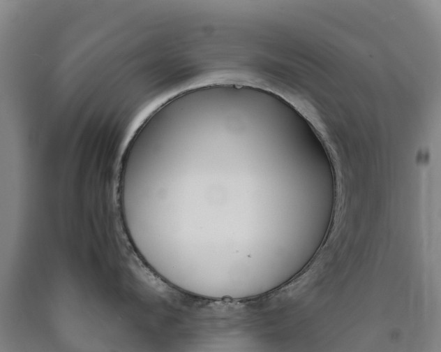 X0000090920912200707301051