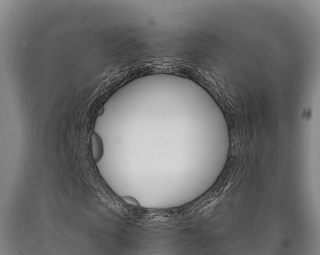 X0000090920913200707301050