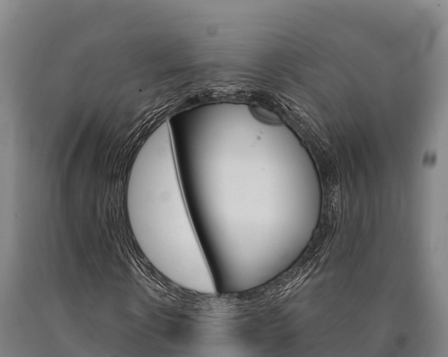 X0000090920914200707301050