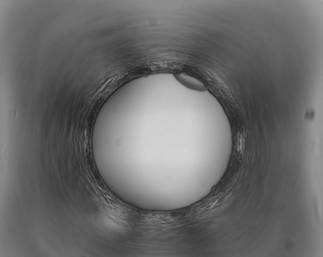 X0000090920915200707301050