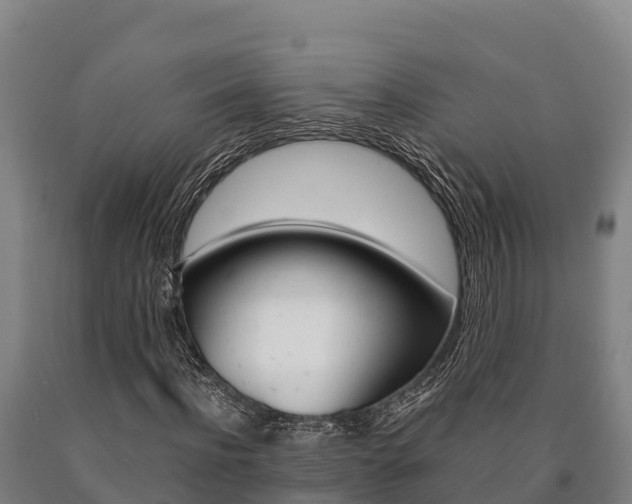 X0000090920916200707301050