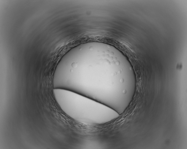 X0000090920917200707301050