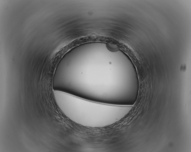 X0000090920919200707301050