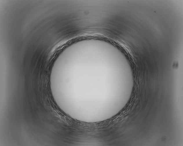 X0000090920920200707301050