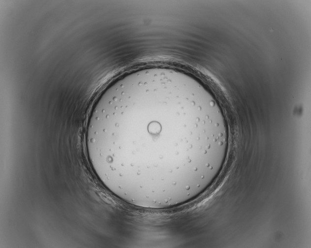 X0000090920921200707301050