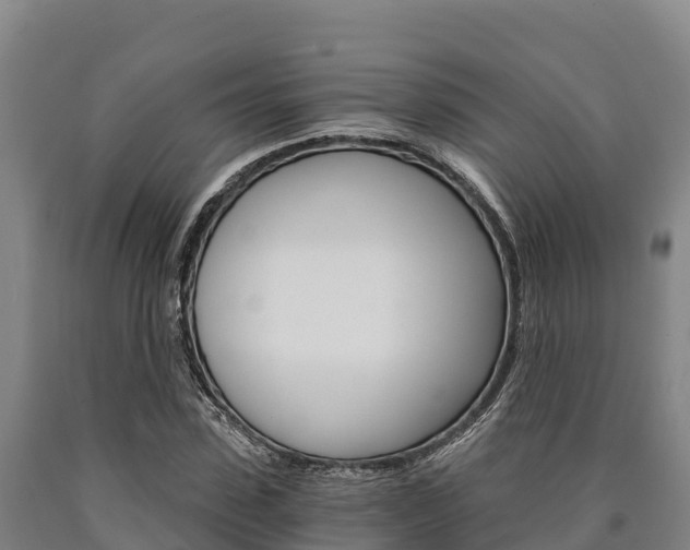 X0000090920923200707301050