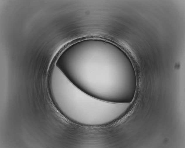X0000090920924200707301050