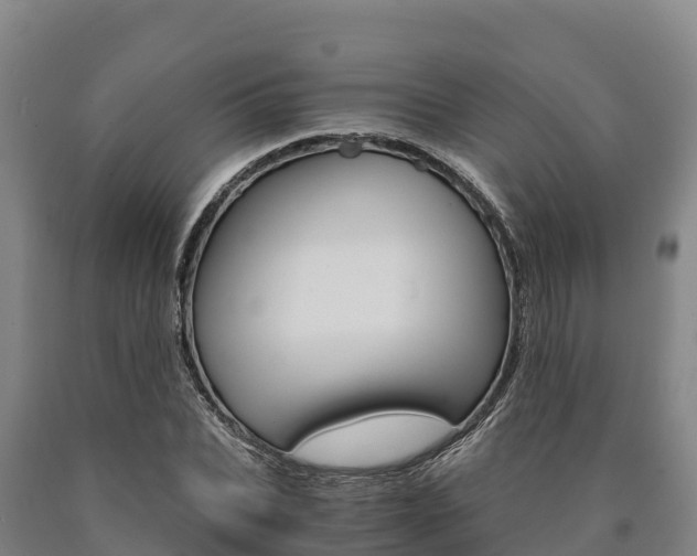 X0000090920927200707301050