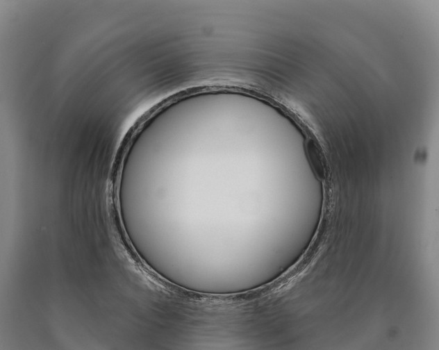 X0000090920928200707301050