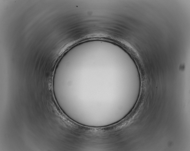 X0000090920929200707301050