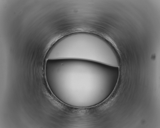 X0000090920930200707301050
