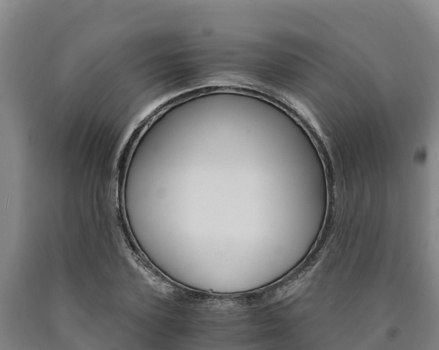 X0000090920931200707301050