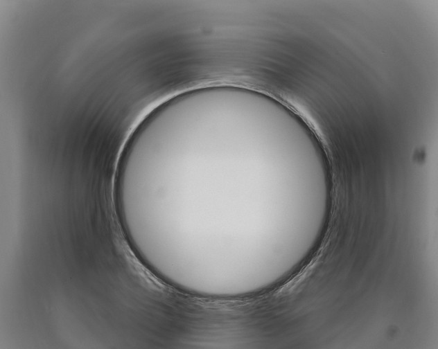 X0000090920932200707301050