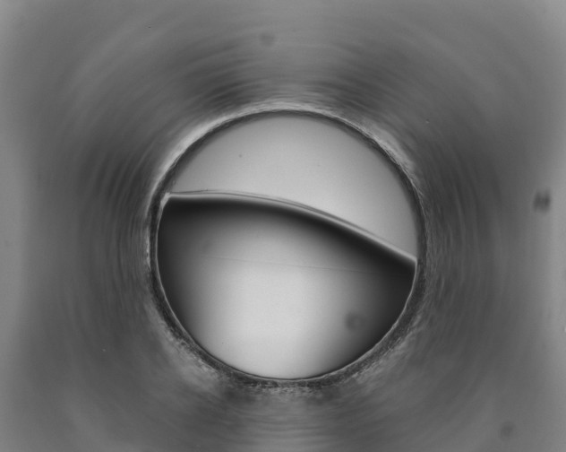 X0000090920934200707301050