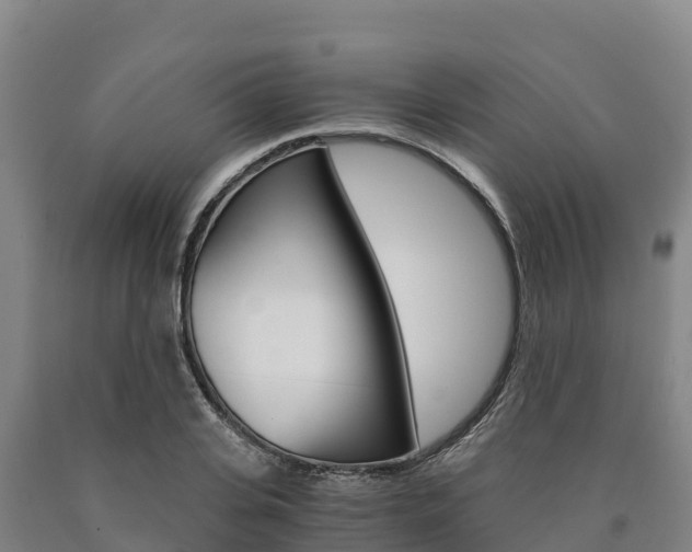X0000090920935200707301050