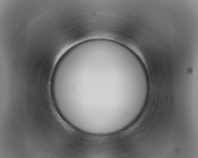 X0000090920936200707301050