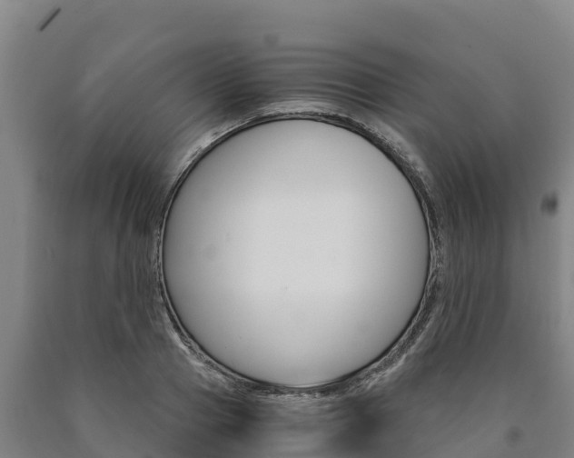 X0000090920937200707301050