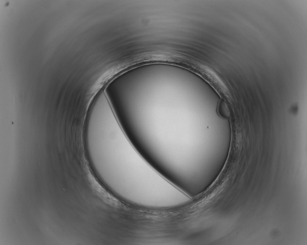 X0000090920938200707301051