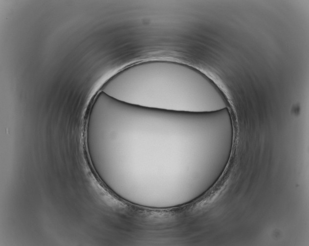 X0000090920941200707301051