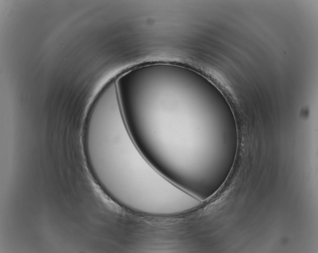 X0000090920942200707301051