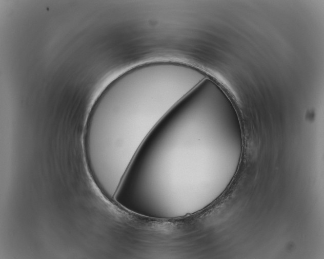 X0000090920943200707301051