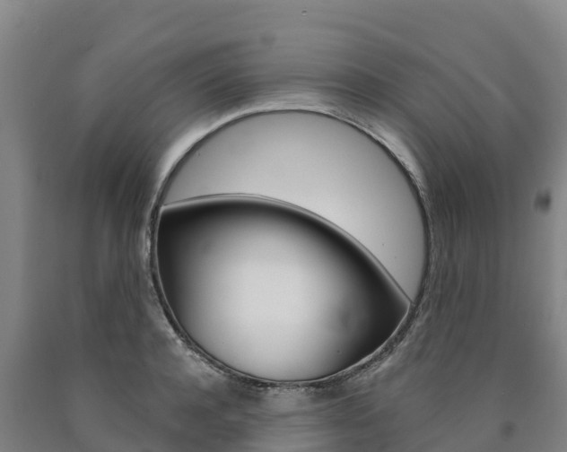 X0000090920944200707301051