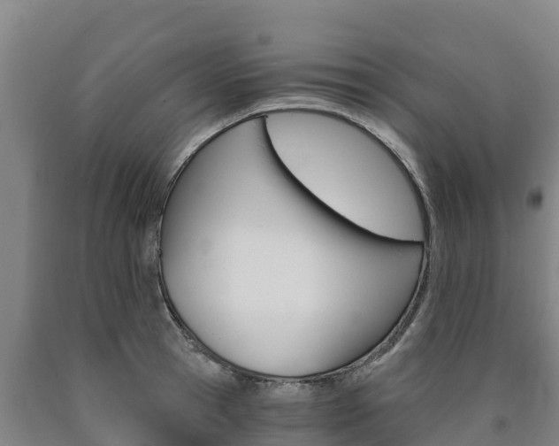 X0000090920945200707301051