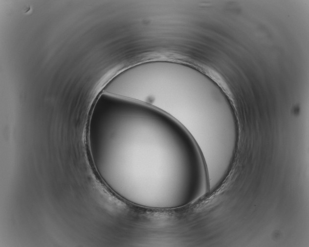 X0000090920946200707301051