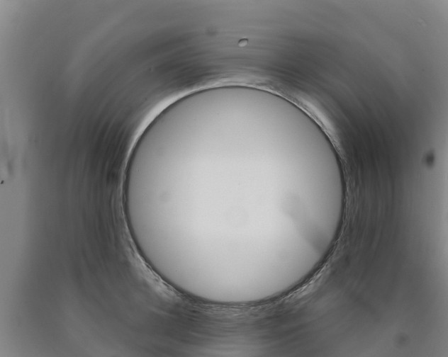 X0000090920948200707301051