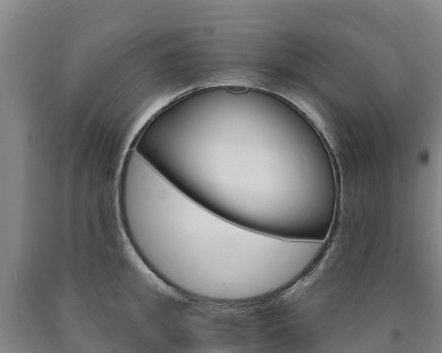 X0000090920949200707301051