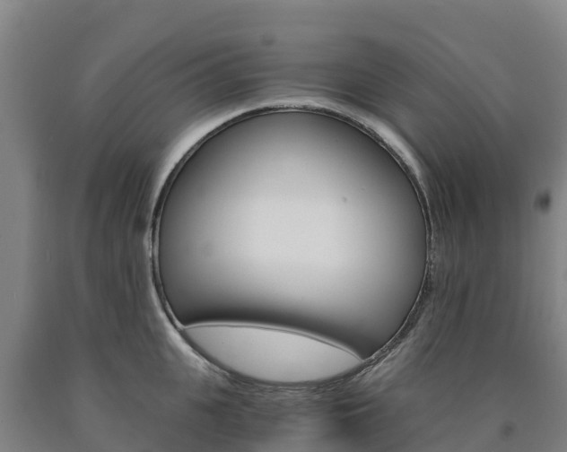 X0000090920951200707301051