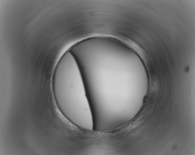 X0000090920958200707301051