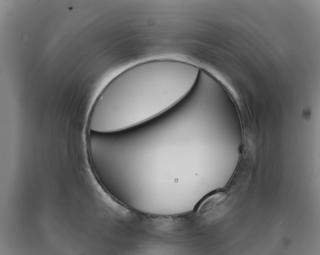 X0000090920959200707301051
